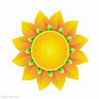 微信向日葵头像_高清向日葵花朵图片大全