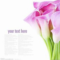 微信喇叭花头像_高清喇叭花花朵图片大全