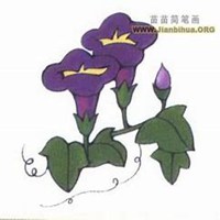 微信喇叭花头像_高清喇叭花花朵图片大全