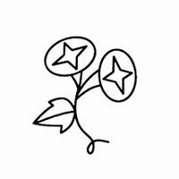 微信喇叭花头像_高清喇叭花花朵图片大全