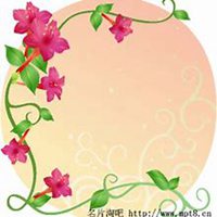 微信喇叭花头像_高清喇叭花花朵图片大全