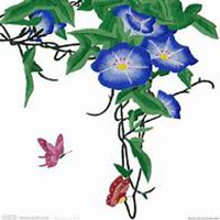 微信喇叭花头像_高清喇叭花花朵图片大全