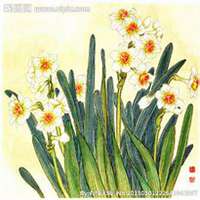 微信头像水仙花