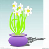 微信头像水仙花