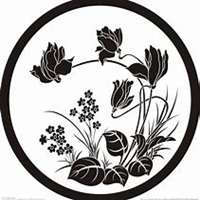 微信头像水仙花