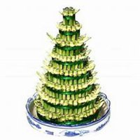 微信富贵竹头像_高清富贵竹花朵图片大全