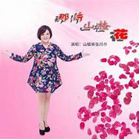 微信山楂花头像_高清山楂花花朵图片大全