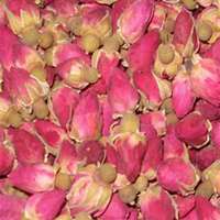 微信山楂花头像_高清山楂花花朵图片大全