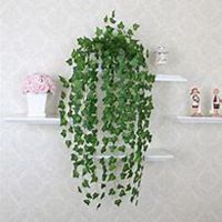 微信常春藤头像_高清常春藤花朵图片大全