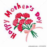 微信康乃馨头像_高清康乃馨花朵图片大全