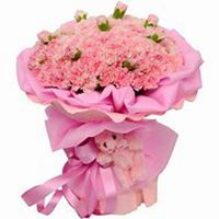 微信康乃馨头像_高清康乃馨花朵图片大全