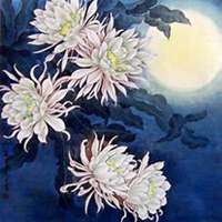 微信昙花头像_高清昙花花朵图片大全