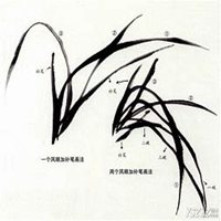 微信春兰花头像_高清春兰花花朵图片大全