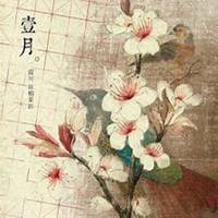 微信月兰花头像_高清月兰花花朵图片大全