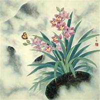 微信月兰花头像_高清月兰花花朵图片大全