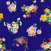 微信月季花高清头像