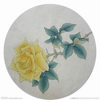 微信月季花高清头像