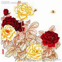 微信月季花高清头像