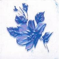 微信木槿花头像_高清木槿花花朵图片大全