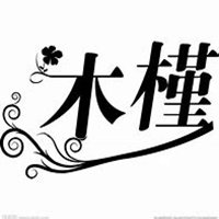 微信木槿花头像_高清木槿花花朵图片大全