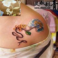 微信木槿花头像_高清木槿花花朵图片大全