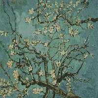 微信杏树头像_高清杏树微信头像