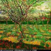 微信杏树头像_高清杏树微信头像