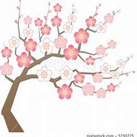 微信杏树头像_高清杏树微信头像