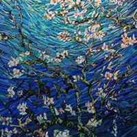 微信杏树头像_高清杏树微信头像