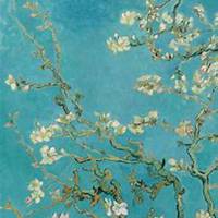 微信杏花头像_高清杏花花朵图片大全