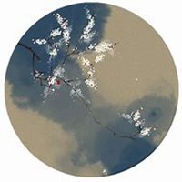 微信杏花头像_高清杏花花朵图片大全