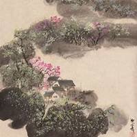 微信杏花头像_高清杏花花朵图片大全