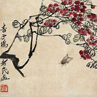 微信杏花头像_高清杏花花朵图片大全