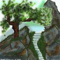 微信松树头像_高清松树微信头像