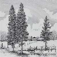 微信松树头像_高清松树微信头像