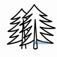 微信松树头像_高清松树微信头像