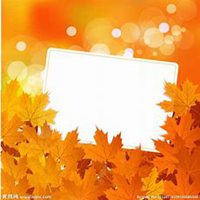 微信枫树头像_高清枫树微信头像