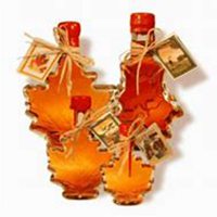 微信枫树头像_高清枫树微信头像