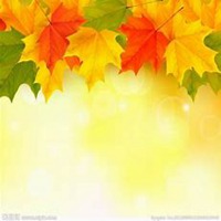 微信枫树头像_高清枫树微信头像