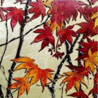 微信枫树头像_高清枫树微信头像