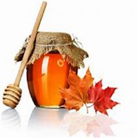 微信枫树头像_高清枫树微信头像