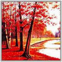 微信枫树头像_高清枫树微信头像