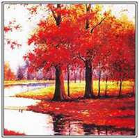 微信枫树头像_高清枫树微信头像