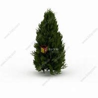 微信柏树头像_高清柏树微信头像