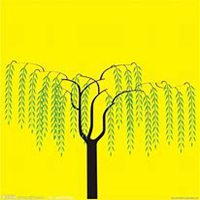 微信柳树头像_高清柳树微信头像