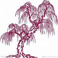 微信柳树头像_高清柳树微信头像