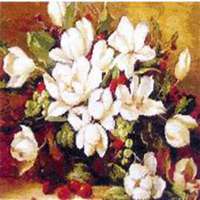 微信栀子花头像_高清栀子花花朵图片大全