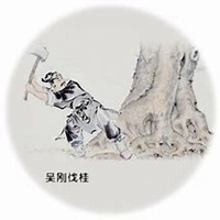 微信桂树头像_高清桂树微信头像