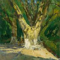 微信梧桐树头像_高清梧桐树微信头像