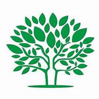 微信梧桐树头像_高清梧桐树微信头像